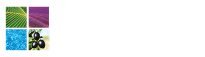 Weddings & Events Logo
